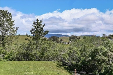 Calling all visionaries! This rare 140-acre property near the - photo 31