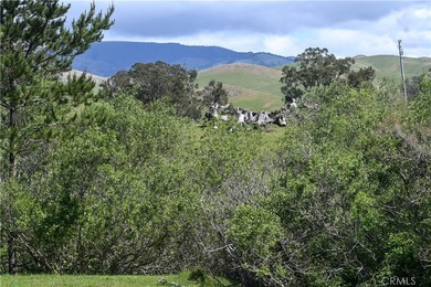 Calling all visionaries! This rare 140-acre property near the - photo 32