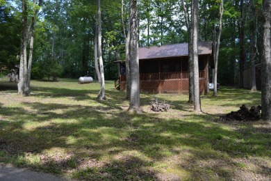 Lake Home For Sale in Wellington, Kentucky