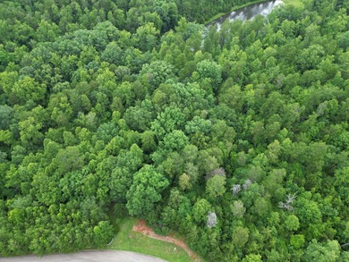 Pond-front, 2.97 acre lot in beautiful Runaway Bay with access - photo 3