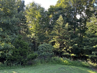 Pond-front, 2.97 acre lot in beautiful Runaway Bay with access - photo 9