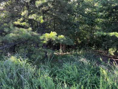 Pond-front, 2.97 acre lot in beautiful Runaway Bay with access - photo 10
