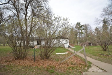  Home For Sale in Wolford Twp Minnesota