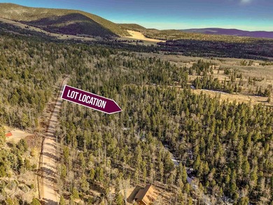 Discover the perfect setting for your mountain dream home on - photo 2