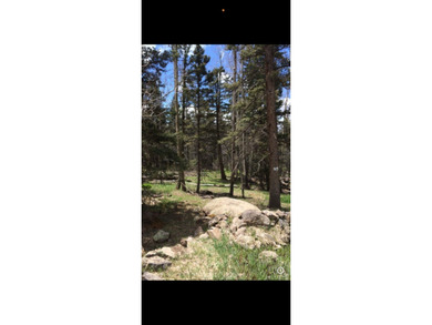 Discover the perfect setting for your mountain dream home on - photo 3