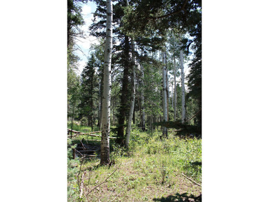 Discover the perfect setting for your mountain dream home on - photo 5