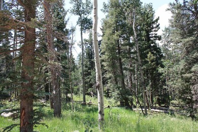 Discover the perfect setting for your mountain dream home on - photo 6