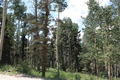 Discover the perfect setting for your mountain dream home on - photo 10