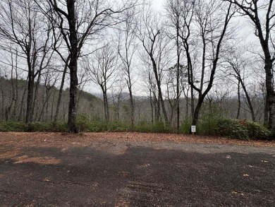Lake Acreage For Sale in Hiawassee, Georgia