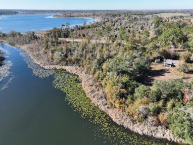 Lake Lot For Sale in Donalsonville, Georgia