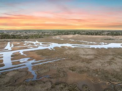 Welcome to the ultimate Lowcountry retreat in the exclusive - photo 4