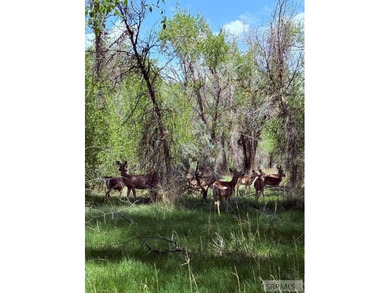 Opportunities like this don't come around often! This expansive - photo 13