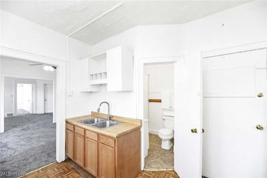 Investor Opportunity, Strong Cash Flow, Major Capital - photo 21
