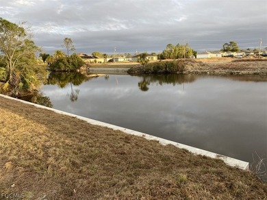 Discover one of the finest lots on the expansive Gator Slough - photo 3