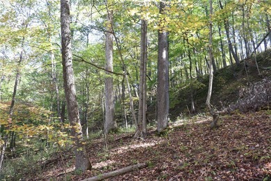 Discover the blend of privacy, potential, and convenience with - photo 41