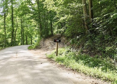 Privacy abounds on this 4.3-acre property located in a beautiful - photo 2