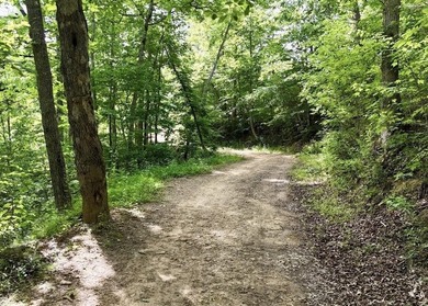 Privacy abounds on this 4.3-acre property located in a beautiful - photo 3