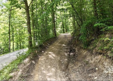Privacy abounds on this 4.3-acre property located in a beautiful - photo 4