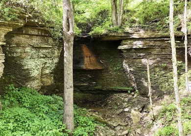 Privacy abounds on this 4.3-acre property located in a beautiful - photo 5
