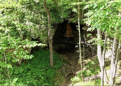 Privacy abounds on this 4.3-acre property located in a beautiful - photo 6