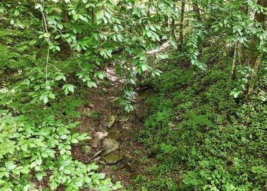 Privacy abounds on this 4.3-acre property located in a beautiful - photo 8