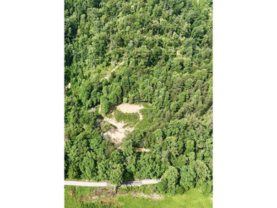 Privacy abounds on this 4.3-acre property located in a beautiful - photo 9