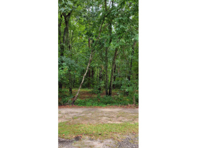 Lake Marion Lot Sale Pending in Manning South Carolina