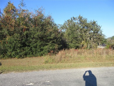 North Lake - Marion County Lot For Sale in Ocklawaha Florida