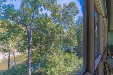 Welcome to this beautifully appointed 2-bedroom, 2-bath - photo 8