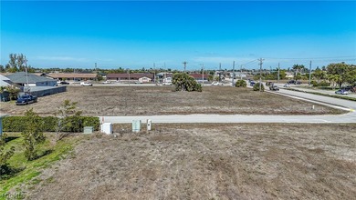 Flood Zone X. Positioned on a 1.127-acre parcel comprising nine - photo 14