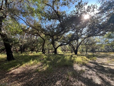 (private lake, pond, coastal) Acreage For Sale in Arcadia Florida