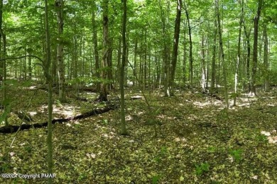 Timber Trails Lake Lot For Sale in Pocono Pines Pennsylvania
