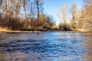 Elk Mountain Ranch consists of 4215 deeded acres and a 640 acre - photo 4