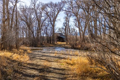 Elk Mountain Ranch consists of 4215 deeded acres and a 640 acre - photo 5