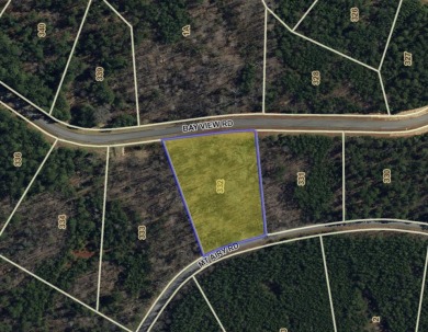 Lake Lot For Sale in Lynch Station, Virginia