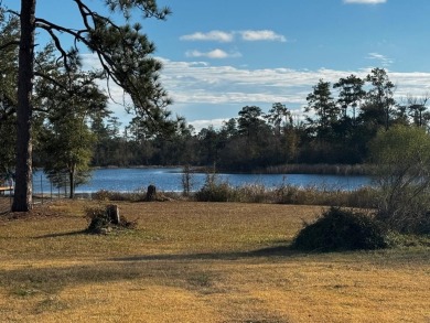 Lake Home For Sale in Donalsonville, Georgia