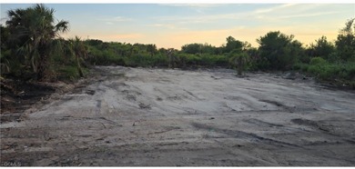 Lehigh Acres Area Lot For Sale in Lehigh Acres Florida