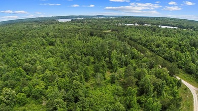 Escape to the quiet beauty of East Texas with this secluded - photo 3