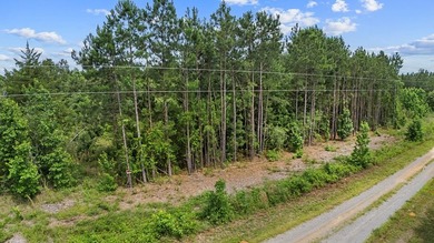 Escape to the quiet beauty of East Texas with this secluded - photo 6