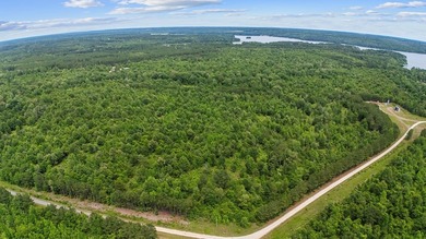 Escape to the quiet beauty of East Texas with this secluded - photo 8
