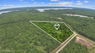 Escape to the quiet beauty of East Texas with this secluded - photo 9