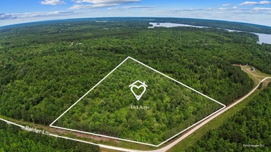 Escape to the quiet beauty of East Texas with this secluded - photo 10