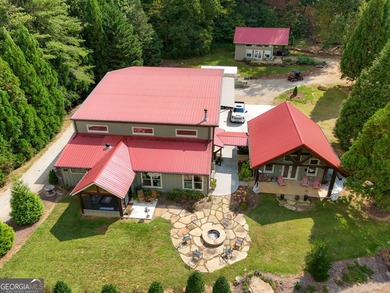 Your Private Fly-in Mountain Sanctuary in Rabun County Nestled - photo 2