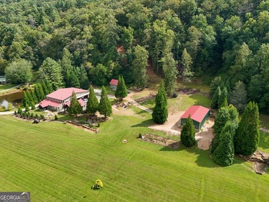 Your Private Fly-in Mountain Sanctuary in Rabun County Nestled - photo 3