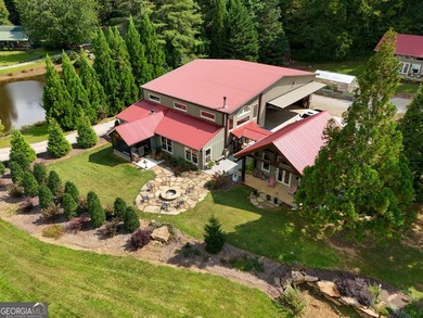 Your Private Fly-in Mountain Sanctuary in Rabun County Nestled - photo 7