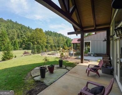 Your Private Fly-in Mountain Sanctuary in Rabun County Nestled - photo 9