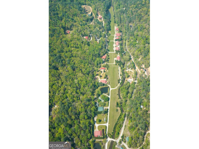 Your Private Fly-in Mountain Sanctuary in Rabun County Nestled - photo 10