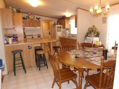 Come and check this manufactured home out with a lot going for - photo 7