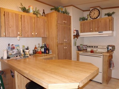 Come and check this manufactured home out with a lot going for - photo 8