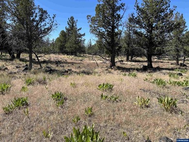 Highly coveted buildable lot inside 3 Rivers gated community - photo 13